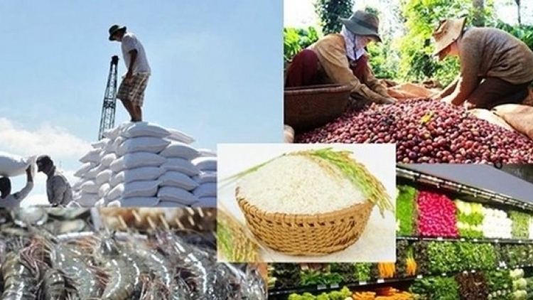 Nông dân làm giàu nhờ nông sản xuất khẩu (30/06/2025)