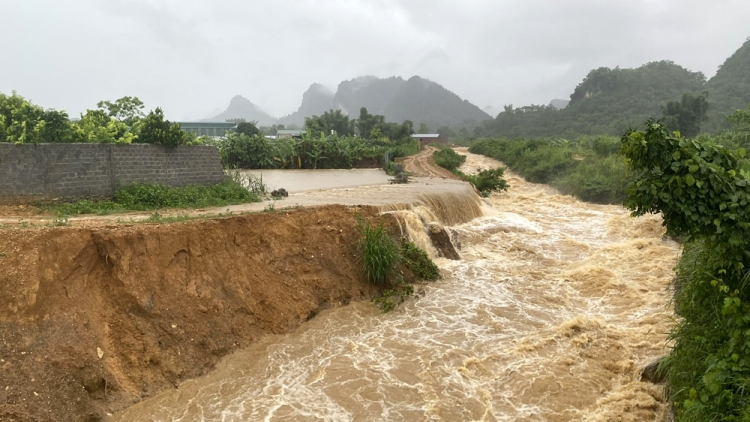 Thời sự 6h 8/6/2025: Mưa lớn diện rộng các tỉnh phía Bắc làm 2 người thương vong