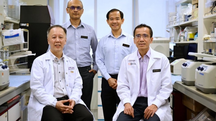 Singapore chuẩn bị thử nghiệm ghép tế bào gốc để điều trị bệnh Parkinson