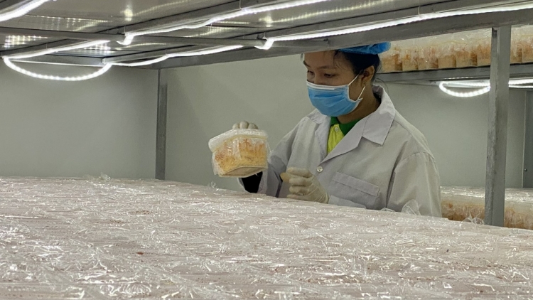 Bà Rịa – Vũng Tàu nỗ lực đưa sản phẩm OCOP đến người tiêu dùng