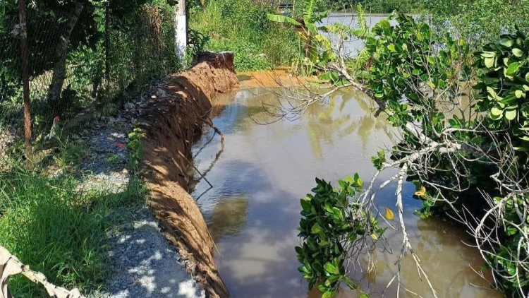 Hậu Giang: Chưa đầy 6 tháng đã xảy ra 30 điểm sụp đất, sạt lở bờ sông