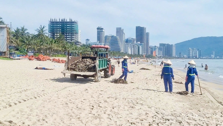 Đà Nẵng thu gom rác tại các bãi biển