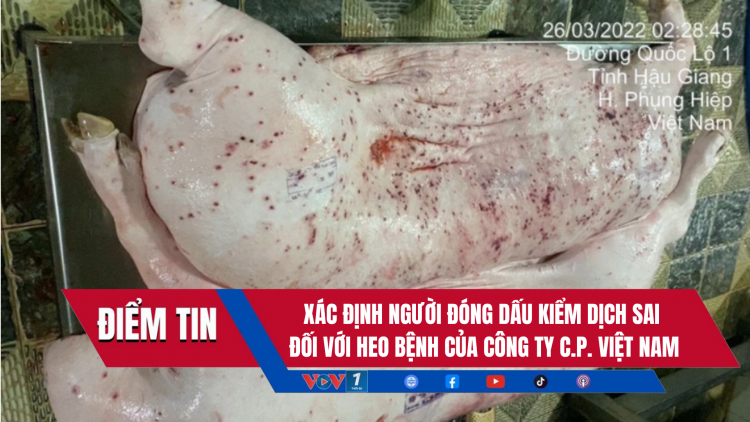 Điểm tin 5/6/2025