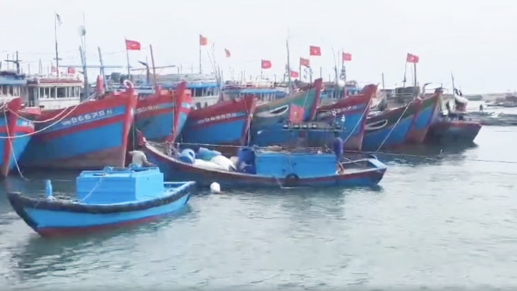 Ảnh hưởng bão số 1: Hơn 100 khách du lịch kẹt trên đảo Lý Sơn