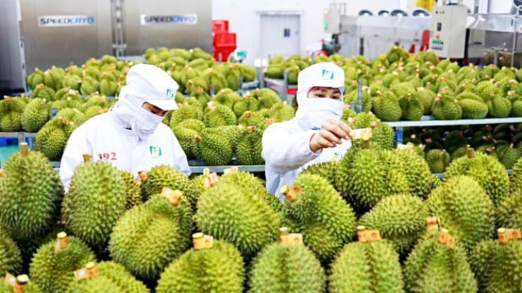 Xuất khẩu rau quả cần mở rộng thị trường (04/06/2025)