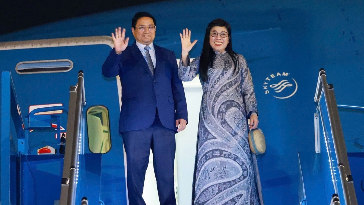 Thời sự 6h 5/6/2025: Thủ tướng Phạm Minh Chính lên đường dự Hội nghị Đại dương Liên hợp quốc 