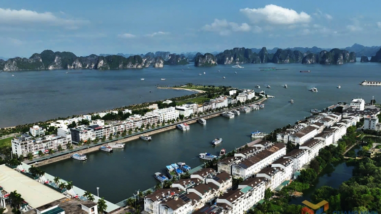 Các DN Cảng Quảng Ninh, Hải Phòng, Thái Bình tạm dừng hoạt động làm hàng trước 19 giờ ngày 20/7/2025