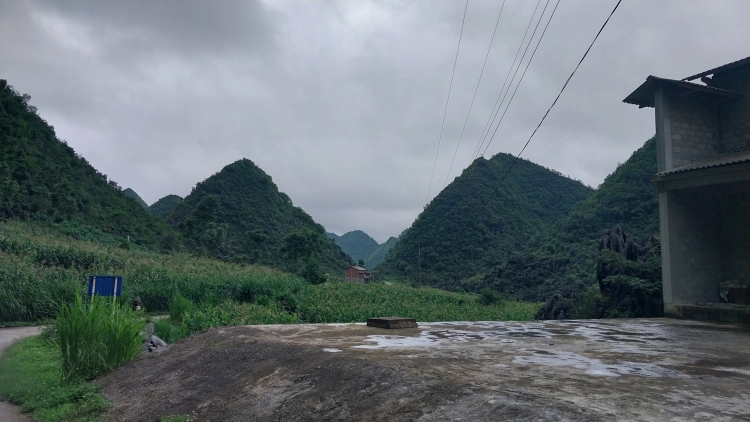 Tuyên Quang: Phòng chống tái trồng cây thuốc phiện tại các xã vùng biên