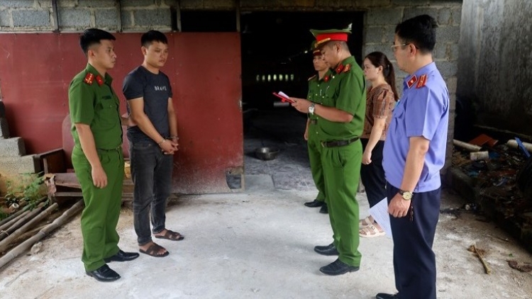 Lạng Sơn: Khởi tố 2 đối tượng giết mổ, tiêu thụ thịt lợn nhiễm bệnh