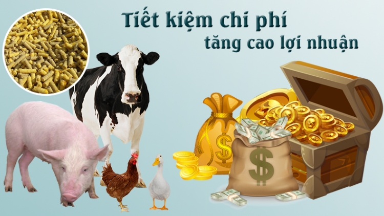 Tiết kiệm, chống lãng phí trong chăn nuôi cần giải pháp đột phá (15/07/2025)