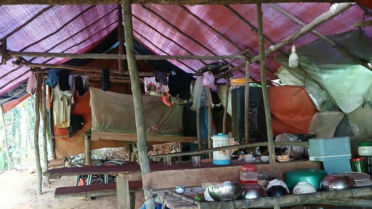 “Vàng tặc” ngang nhiên dựng lán giữa rừng phòng hộ ở Quảng Trị