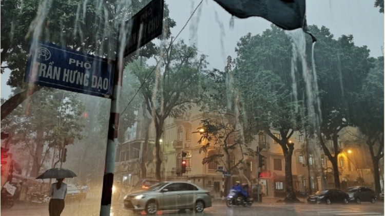 Dự báo thời tiết ngày 4/7/2025: Mưa trên diện rộng
