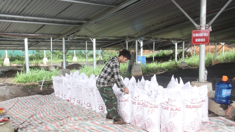 Giải pháp đẩy mạnh kinh tế tuần hoàn để Sơn La hướng đến một nền nông nghiệp xanh, và bền vững
