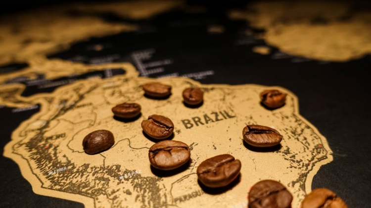 Cafe Brazil bứt phá