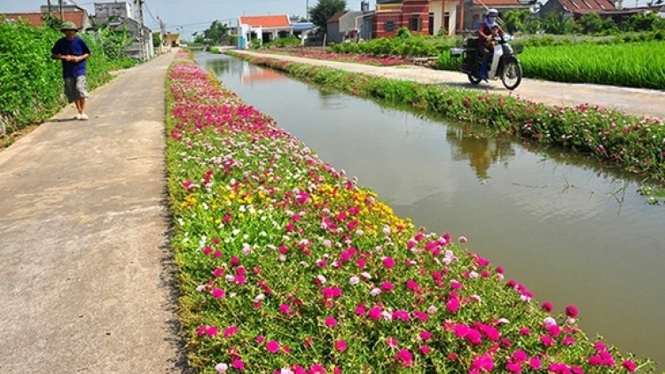 Nông thôn mới - Chặng đường đổi thay những miền quê