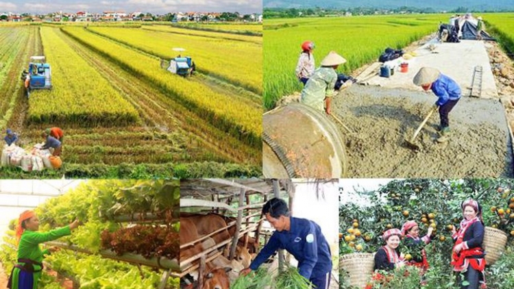 Thời sự 21h30 11/8/2025: Chính Phủ gỡ vướng cho các chương trình mục tiêu quốc gia