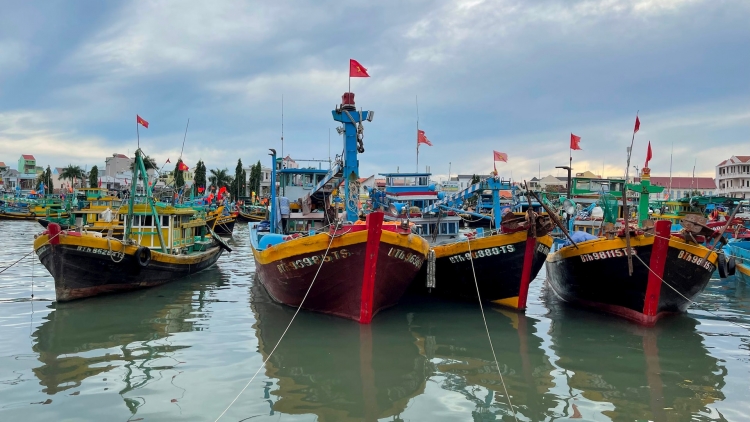 Bộ Y tế: Mỗi bệnh viện chuẩn bị 2 đội cấp cứu lưu động để ứng phó kịp thời với bão số 5