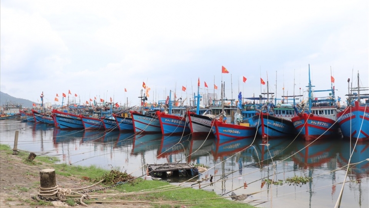Bản tin 15h 24/8/2025