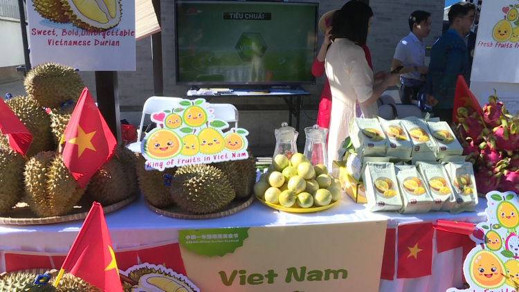 Sầu riêng các nước Đông Nam Á lần đầu tụ hội tại Bắc Kinh