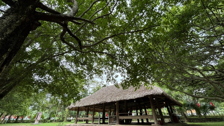 Ngày thu tháng Tám trên quê hương Cách mạng