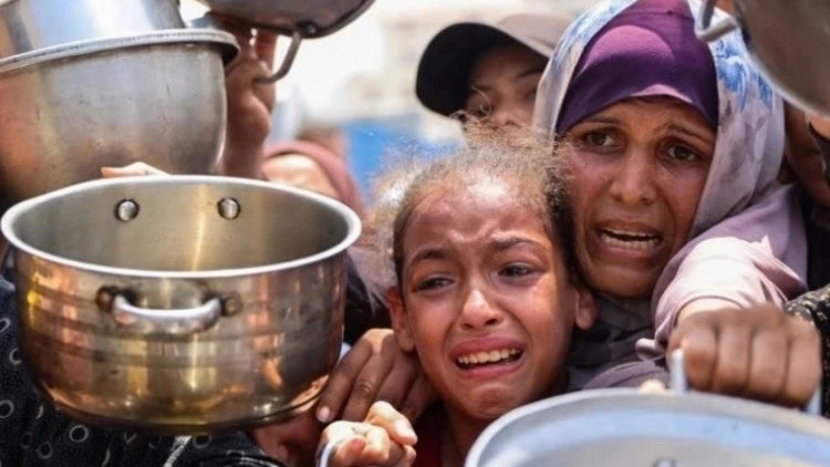 Dư luận về việc Liên Hợp Quốc tuyên bố nạn đói ở Gaza