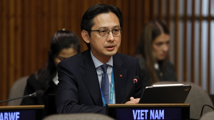 Việt Nam cam kết thúc đẩy bình đẳng giới tại Hội đồng Chấp hành UN Women