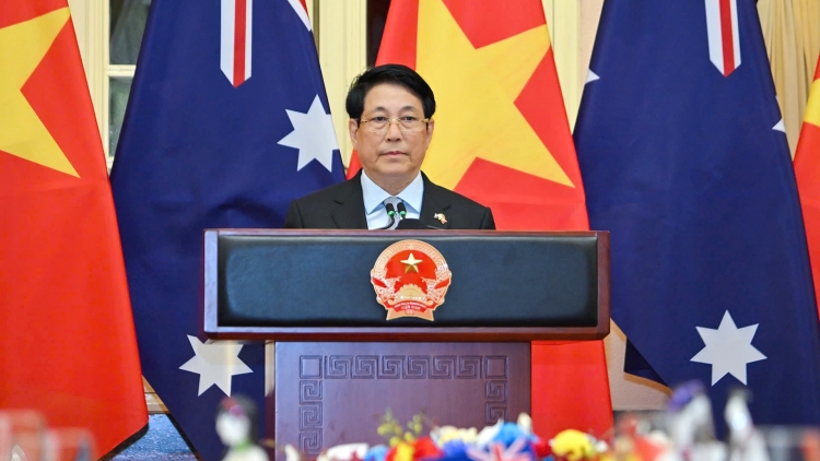 Thời sự 6h 11/9/2025: Chủ tịch nước Lương Cường chủ trì chiêu đãi cấp Nhà nước Toàn quyền Australia