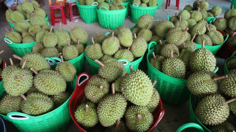 Để nông sản miền núi Khánh Hòa thoát khỏi lối mòn tự phát