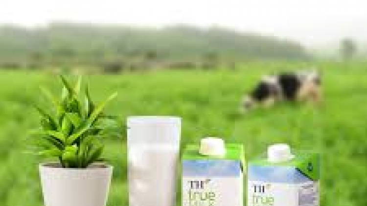 Vai trò của sữa tươi sạch đối với sự phát triển thể lực, trí não của trẻ