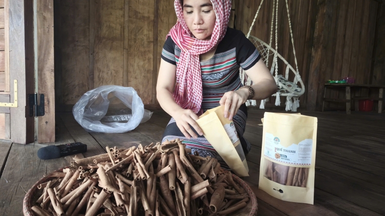 Hương quế thức giấc ở Cổng Trời