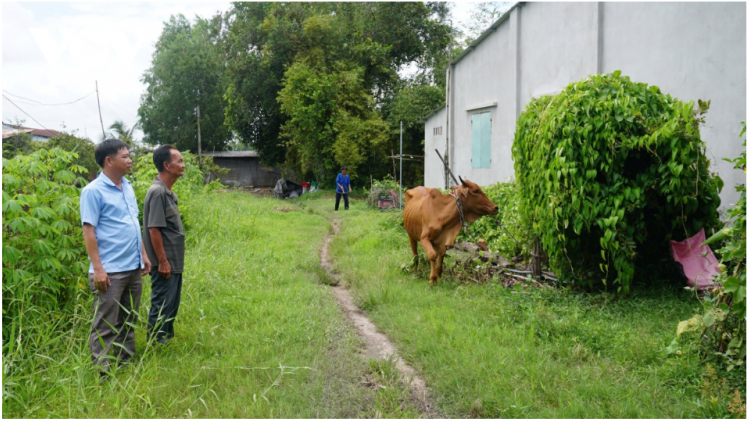 Theo dòng thời sự chiều 29/9/2025