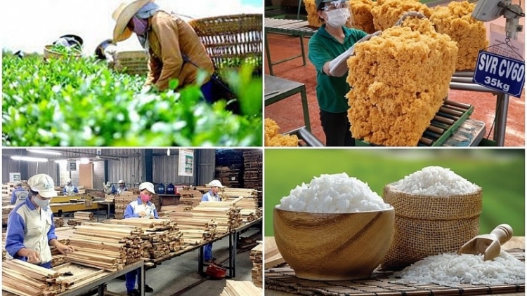 Nông nghiệp lấy lại đà tăng trưởng nhờ nông sản chủ lực (06/09/2025)