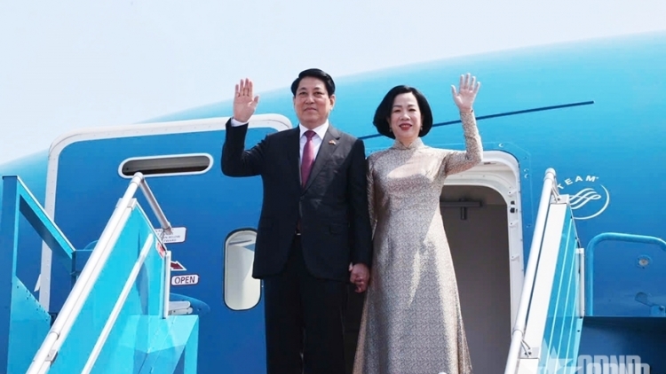 Thời sự 6h 21/9/2025: CTN Lương Cường lên đường dự Khóa 80 Đại hội đồng Liên hợp quốc và thăm Hoa Kỳ