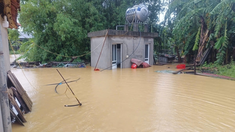 Hương Sơn, Hà Tĩnh: Dồn lực giúp dân ổn định cuộc sống sau bão