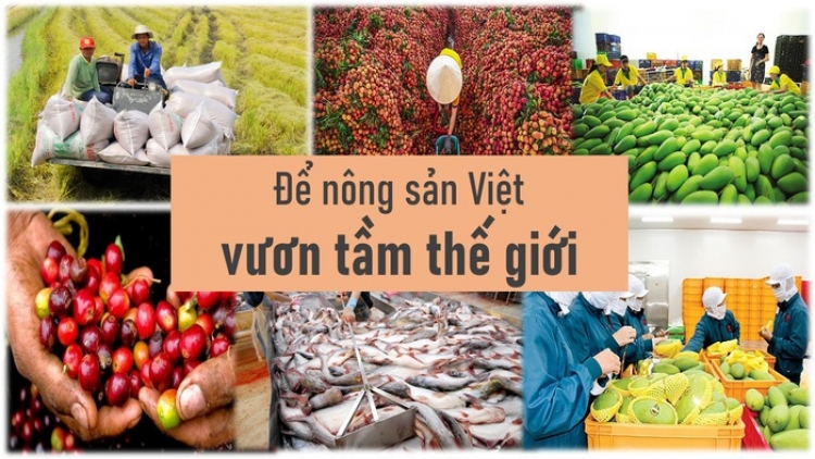 Nông sản Việt Nam vươn tầm thế giới (03/09/2025)