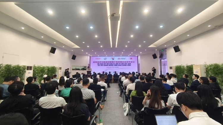 Thúc đẩy hợp tác công nghệ cao giữa doanh nghiệp Việt Nam và Quảng Đông (Trung Quốc)