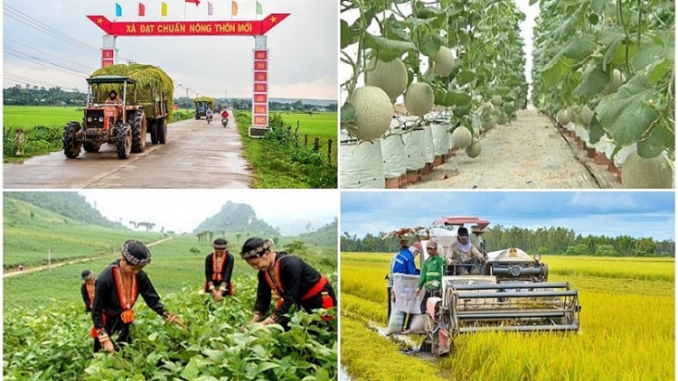 Nhiều địa phương đạt kết quả tích cực trong thực hiện giảm nghèo bền vững