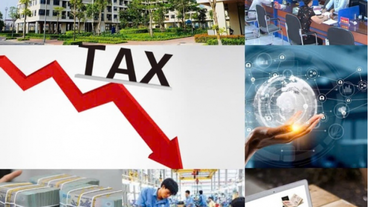 Quyết liệt cắt giảm, đơn giản hóa thủ tục hành chính, cải thiện môi trường đầu tư kinh doanh