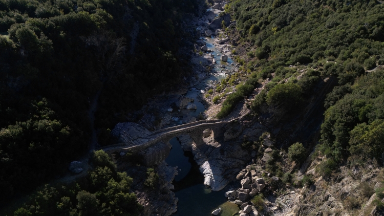 Theo dòng thời sự sáng 11/10/2025