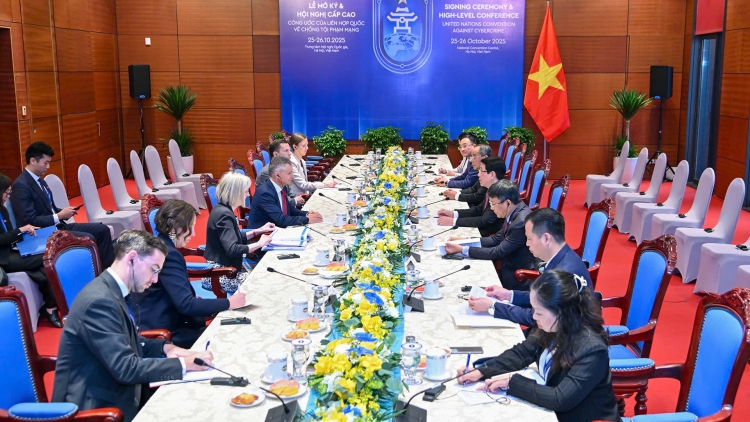 Chủ tịch nước Lương Cường tiếp Đồng Bộ trưởng về Ngoại giao và Thương mại Australia Matt Thistlethwa