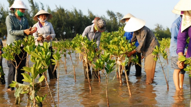 Tự hào 29 năm chiến dịch Mùa hè xanh