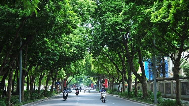 Thời tiết ngày 25/10/2025: Miền Bắc đêm lạnh, ngày nắng