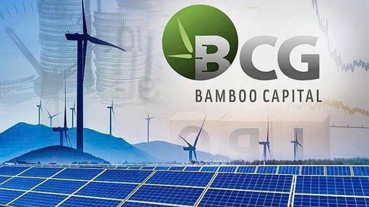 Cổ phiếu BCG và TCD bị đình chỉ giao dịch