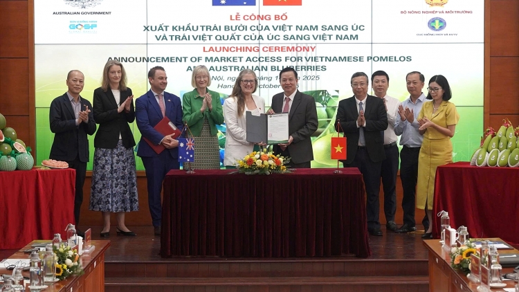 Bưởi: loại trái cây thứ 6 của Việt Nam xuất khẩu vào thị trường Australia