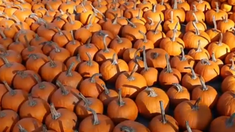 Theo dòng thời sự chiều 26/10/2025