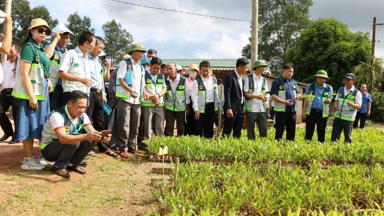 Khuyến nông cộng đồng – Lực lượng đồng hành phát triển vùng nguyên liệu gỗ lớn bền vững (19/10/2025)