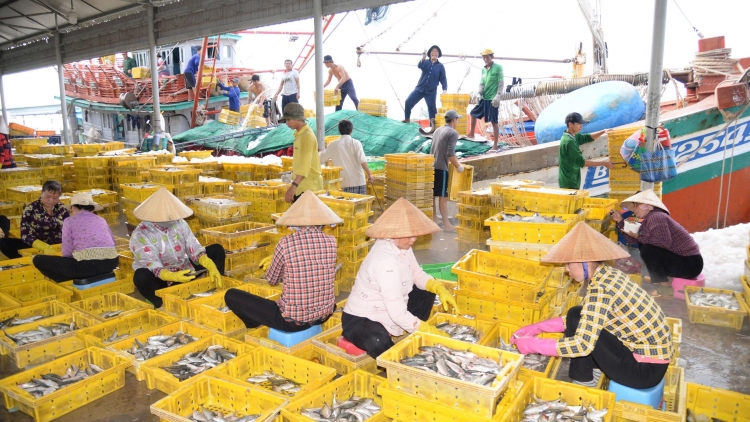  Đồng Tháp quyết liệt cùng cả nước sớm gỡ “thẻ vàng” IUU