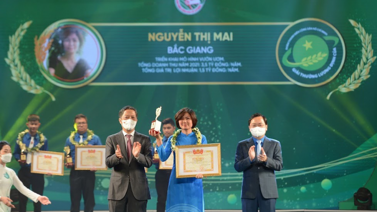 Chị Nguyễn Thị Mai với mô hình ươm trồng, cung cấp cây công trình, cây dự án 16/6/2022