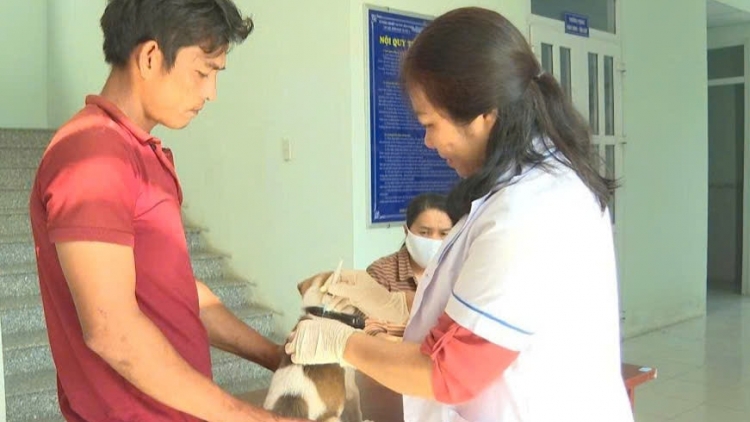 Bộ Y tế khuyến cáo người dân cần chủ động phòng chống bệnh dại