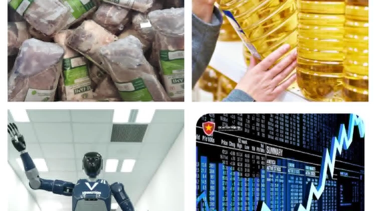 Làm giả dầu ăn, giả bò Wagyu, lừa đảo gọi vốn tiền số - Những màn hoá phép đánh cắp niềm tin